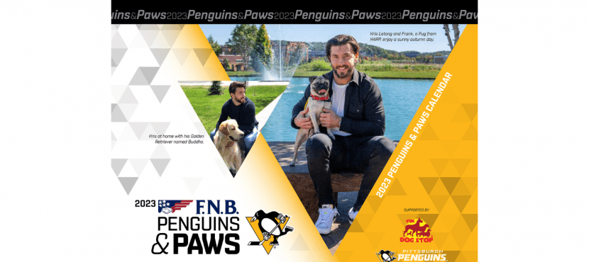 F.N.B. and Pittsburgh Penguins take partnership to new stage - Pittsburgh  Business Times